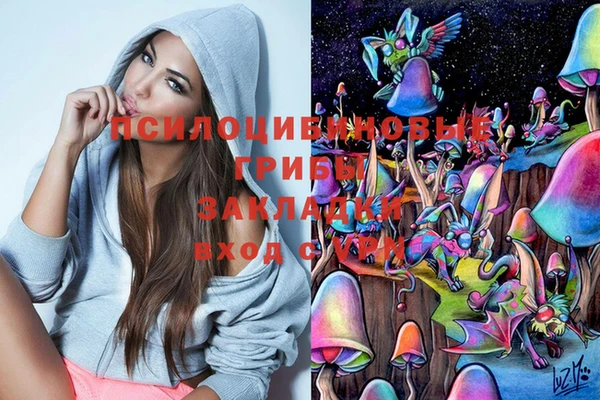 скорость Тобольск