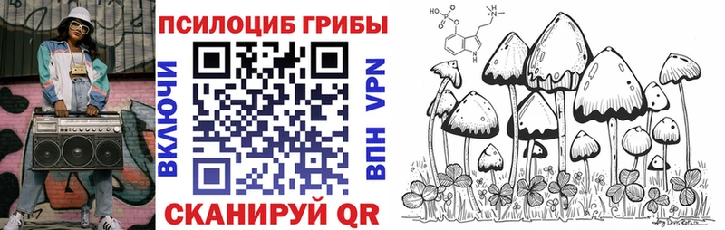 Купить где  Верхний Уфалей  Галлюциногенные грибы GOLDEN TEACHER 